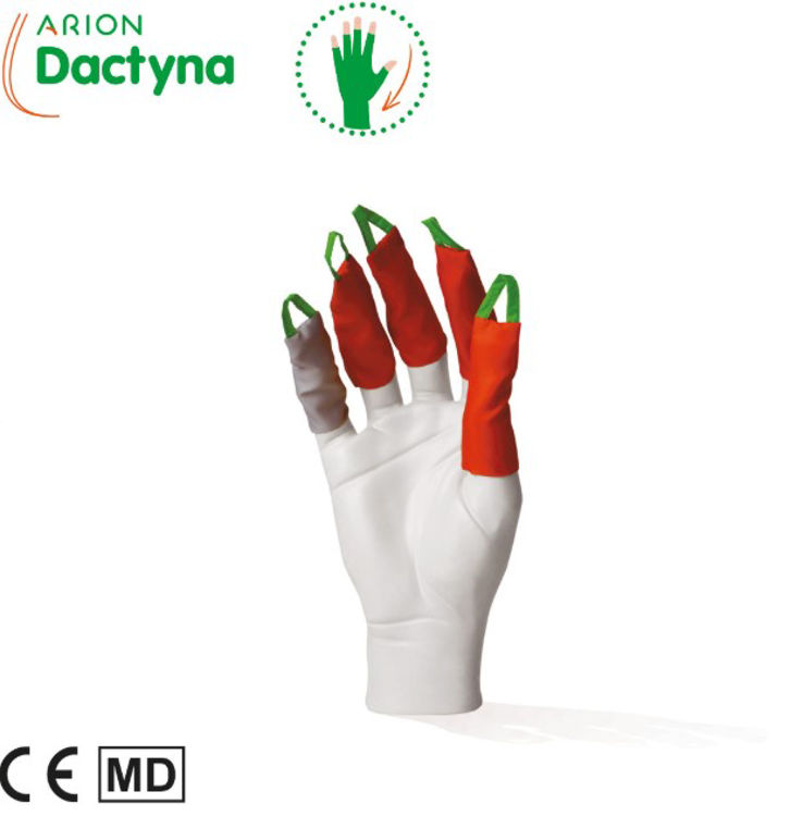 Mynd Arion Dactyna Fingraífæra