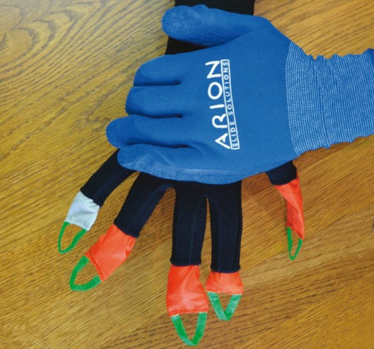 Mynd Arion Dactyna Fingraífæra